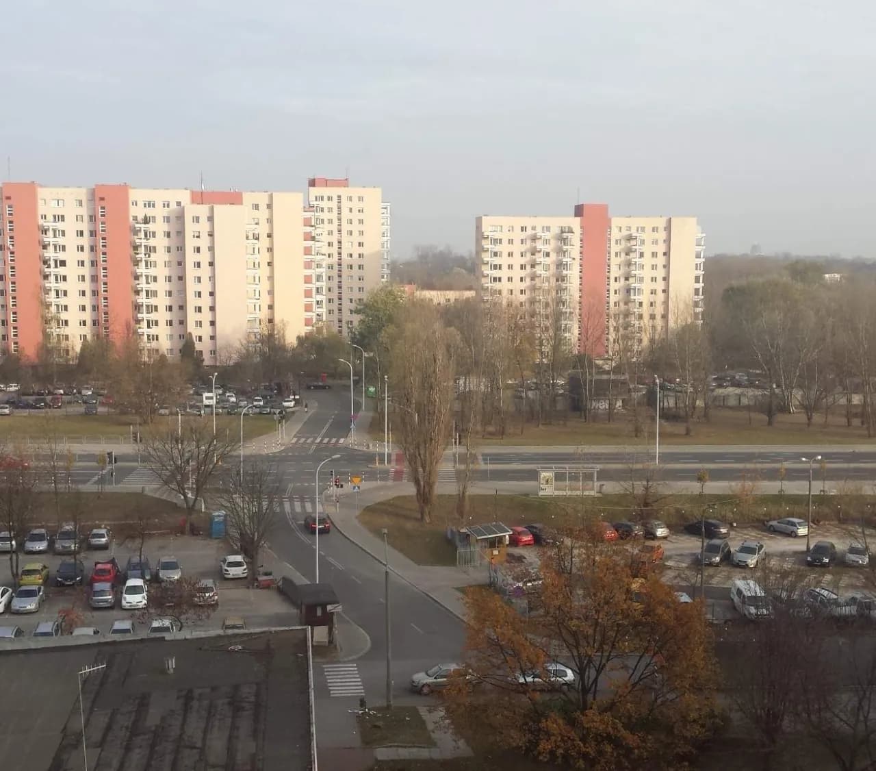 Odwołanie prezesa spółdzielni: Jak to zrobić krok po kroku?