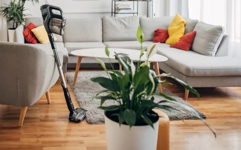 Jaki odkurzacz do mieszkania w bloku - wybierz najlepszy model cichy i kompaktowy